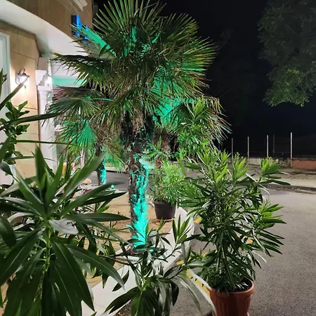 Family Paros ホテル 3*